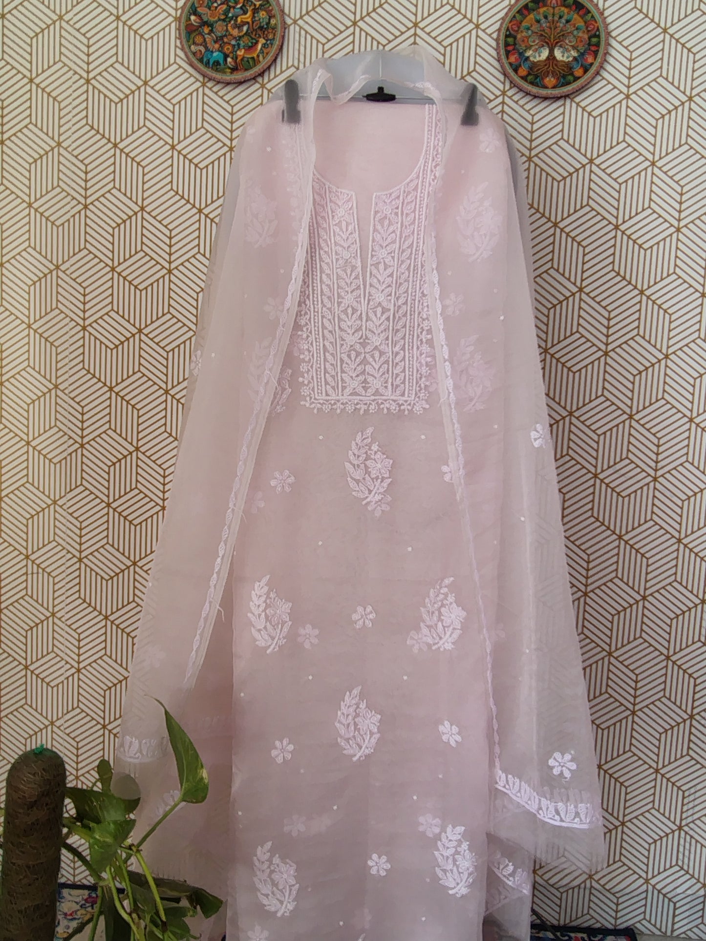 Lucknowi Chikankari Thread Work in Pure Organza add on Pearl Work