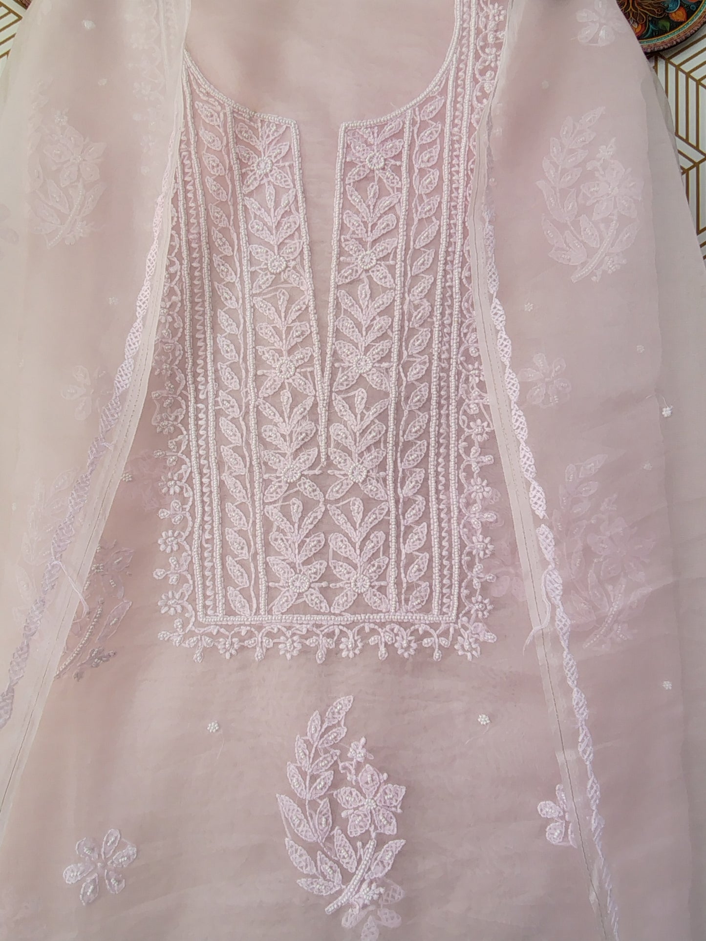 Lucknowi Chikankari Thread Work in Pure Organza add on Pearl Work