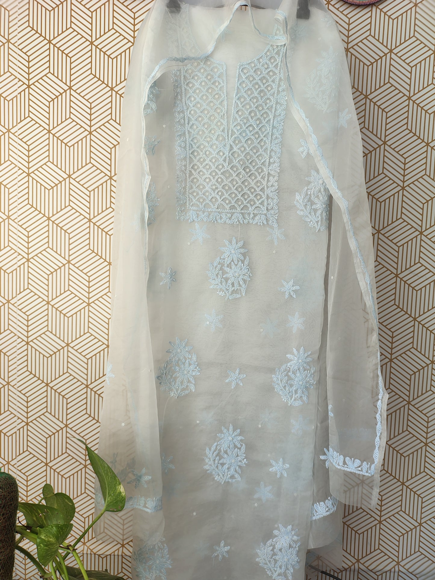 Lucknowi Chikankari Thread Work in Pure Organza add on Pearl Work