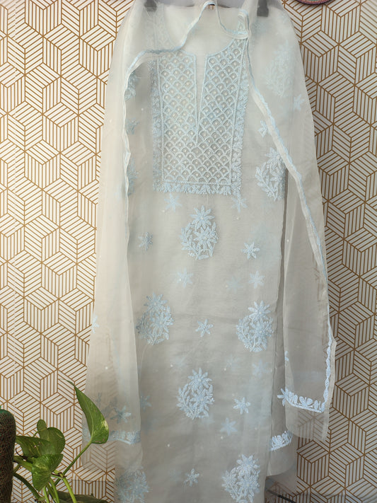 Lucknowi Chikankari Thread Work in Pure Organza add on Pearl Work