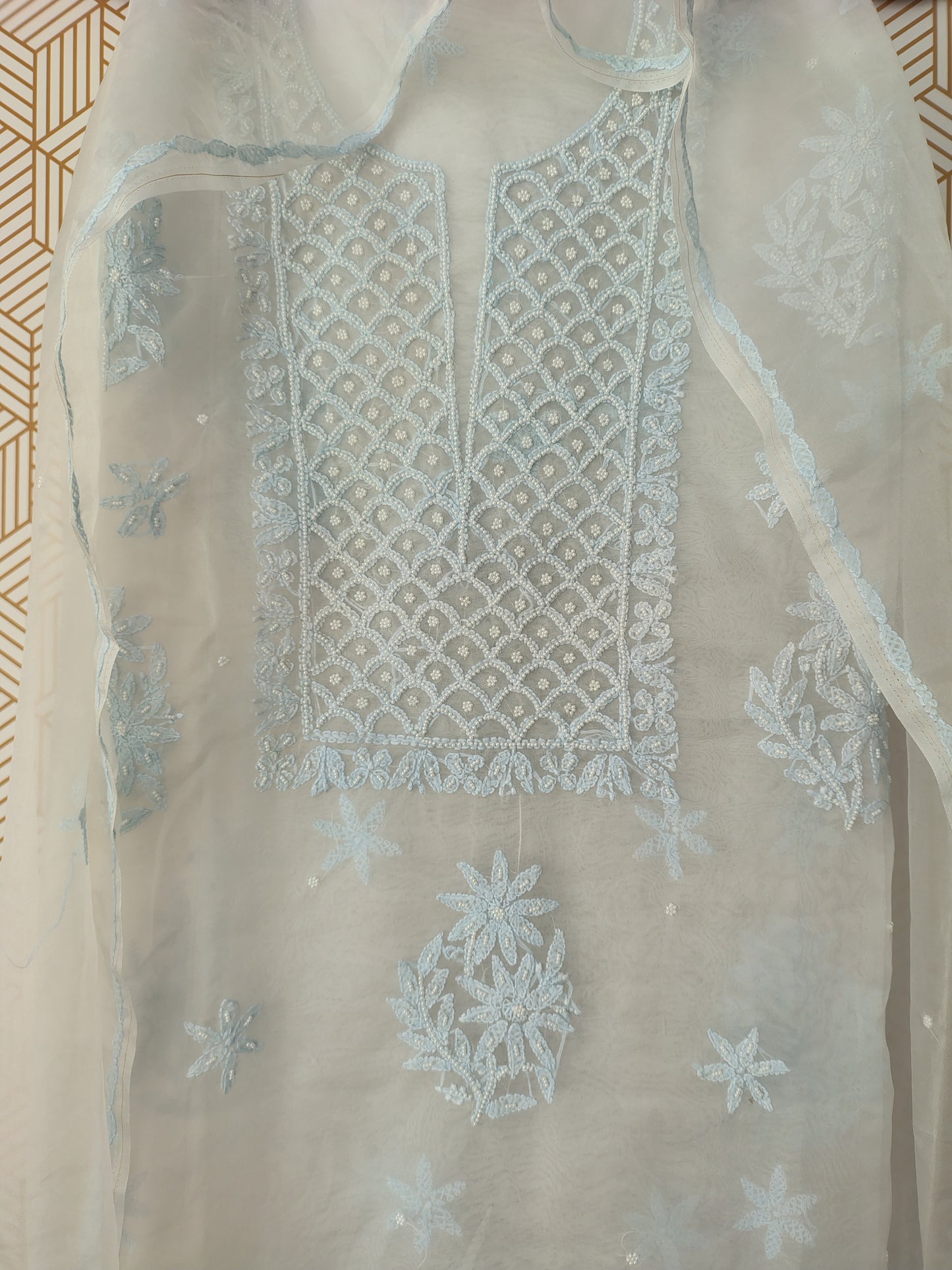 Lucknowi Chikankari Thread Work in Pure Organza add on Pearl Work