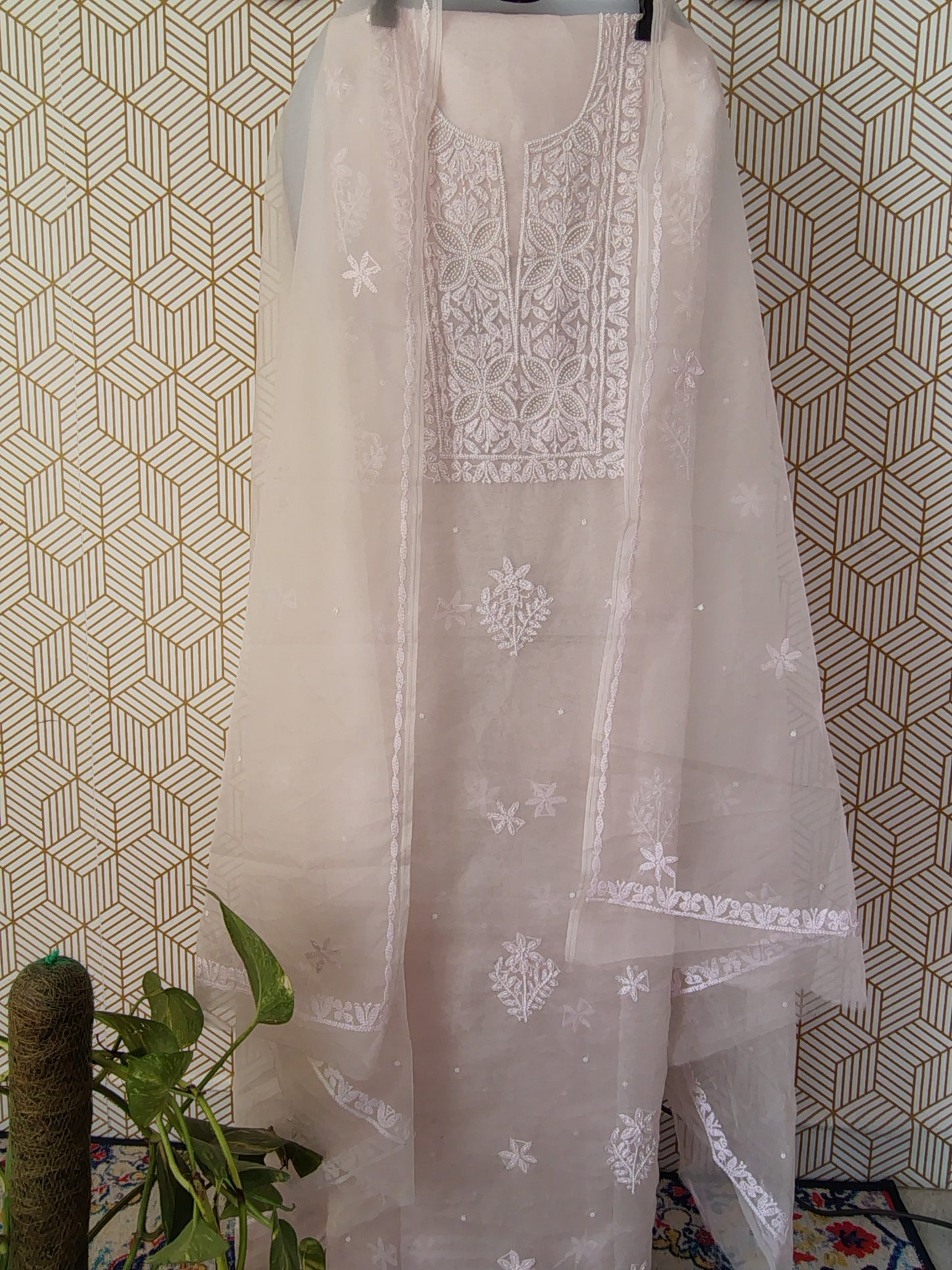 Lucknowi Chikankari Thread Work in Pure Organza add on Pearl Work