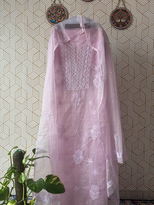 Lucknowi Chikankari Thread Work in Pure Organza add on Pearl Work