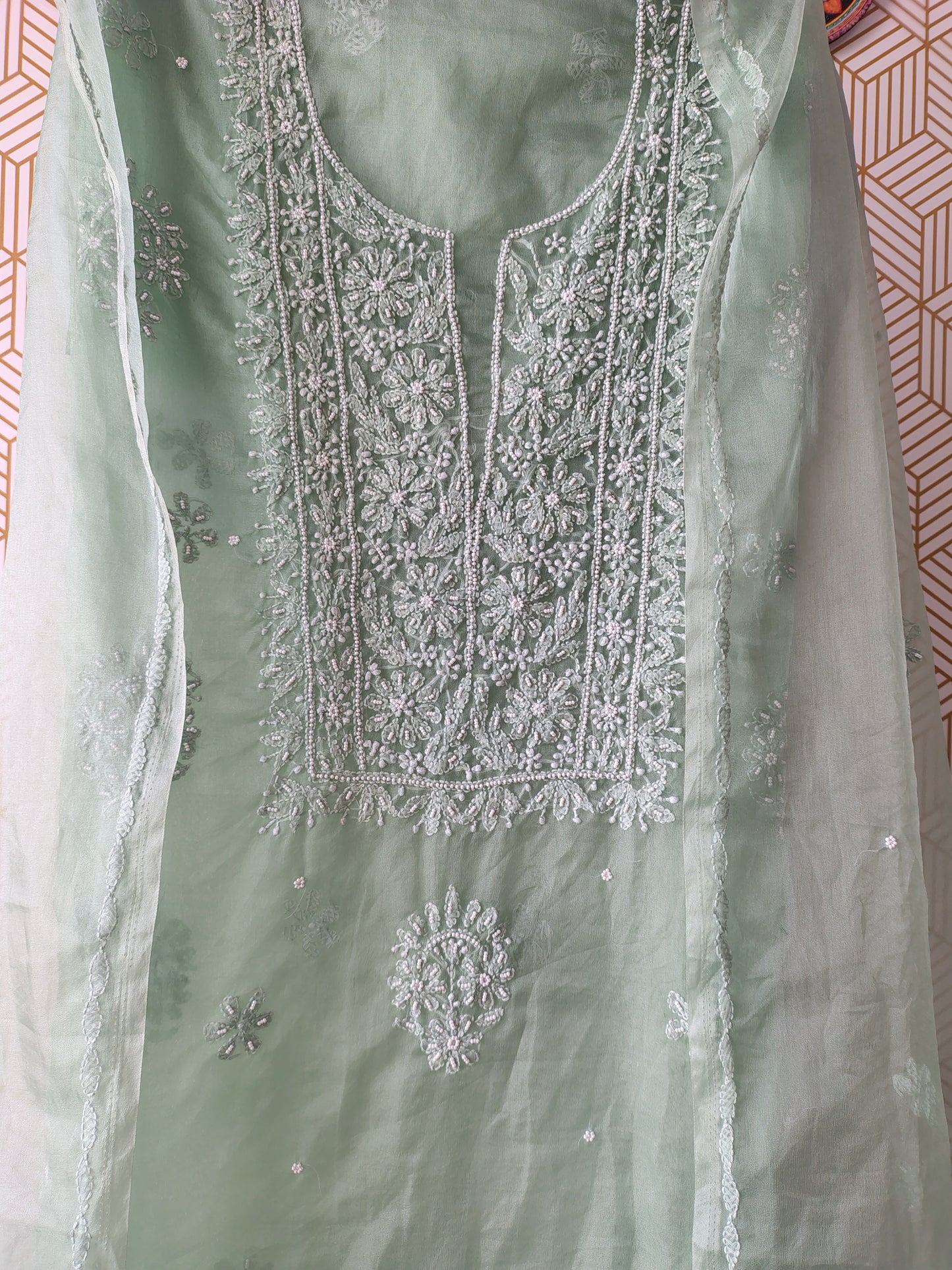 Lucknowi Chikankari Thread Work in Pure Organza add on Pearl Work