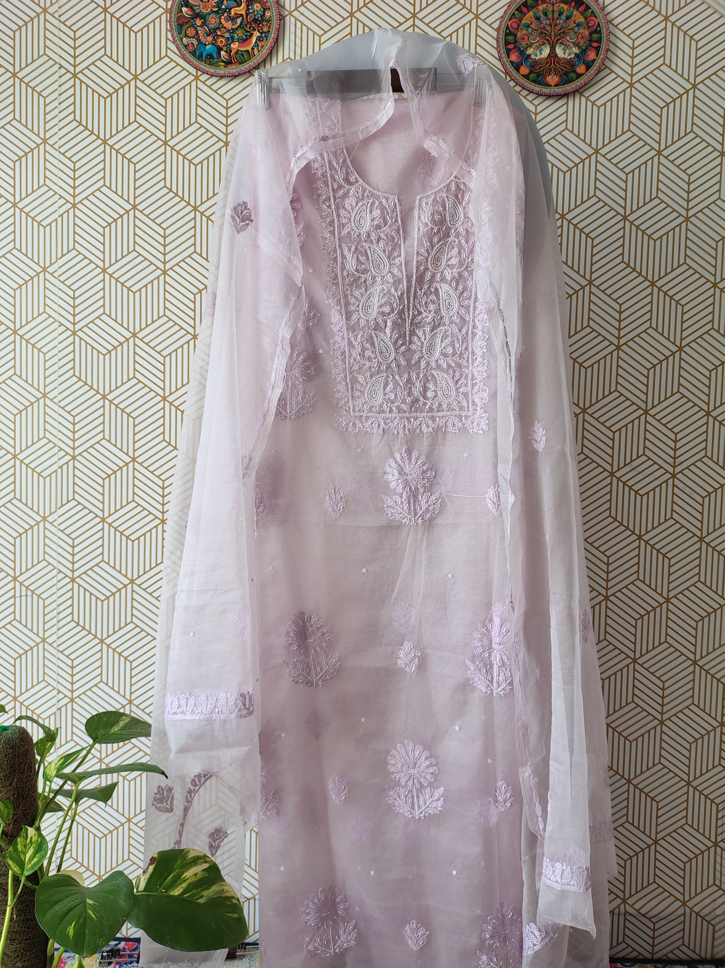 Lucknowi Chikankari Thread Work in Pure Organza add on Pearl Work