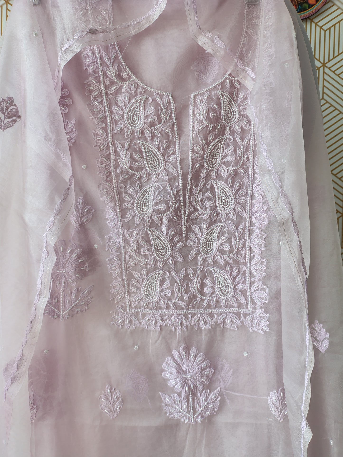 Lucknowi Chikankari Thread Work in Pure Organza add on Pearl Work