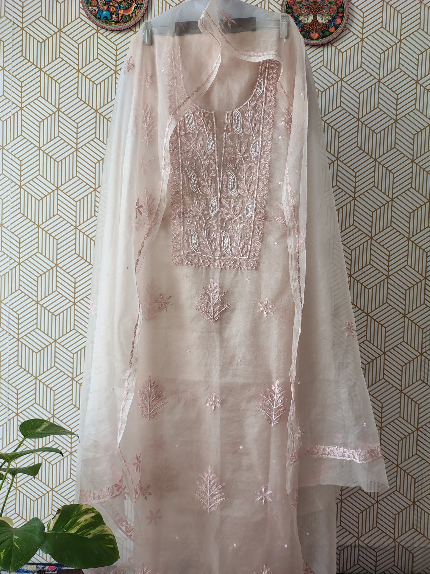Lucknowi Chikankari Thread Work in Pure Organza add on Pearl Work