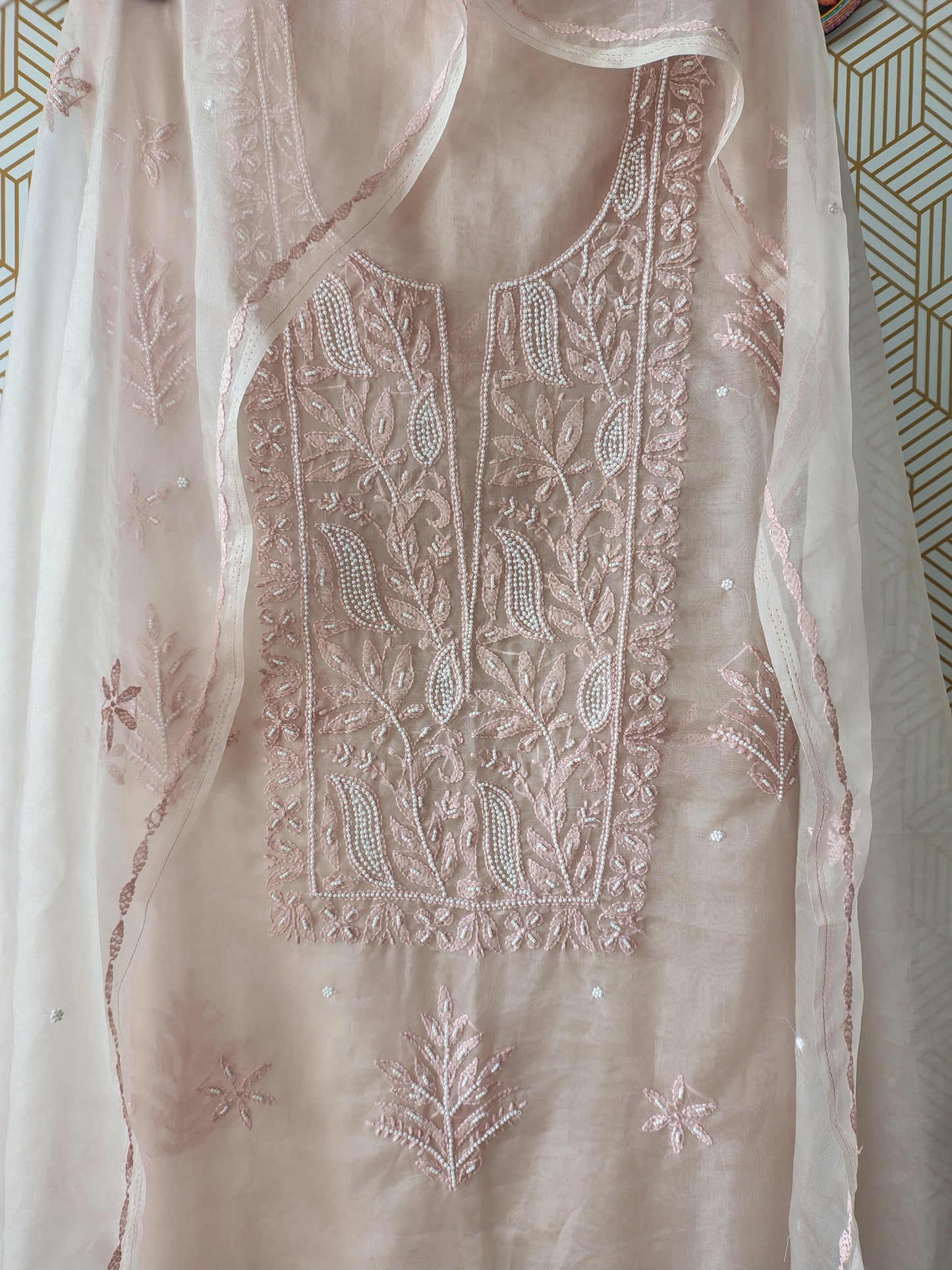 Lucknowi Chikankari Thread Work in Pure Organza add on Pearl Work