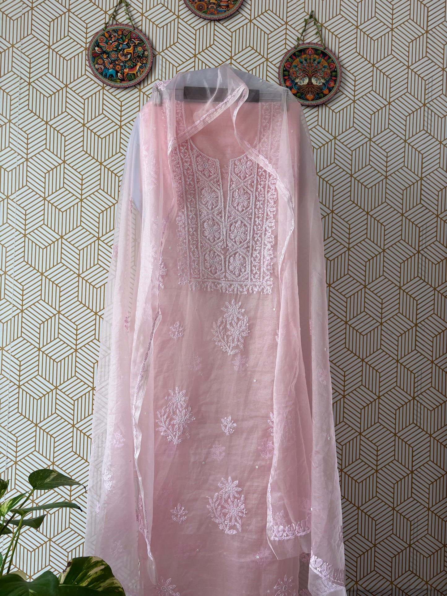 Lucknowi Chikankari Thread Work in Pure Organza add on Pearl Work