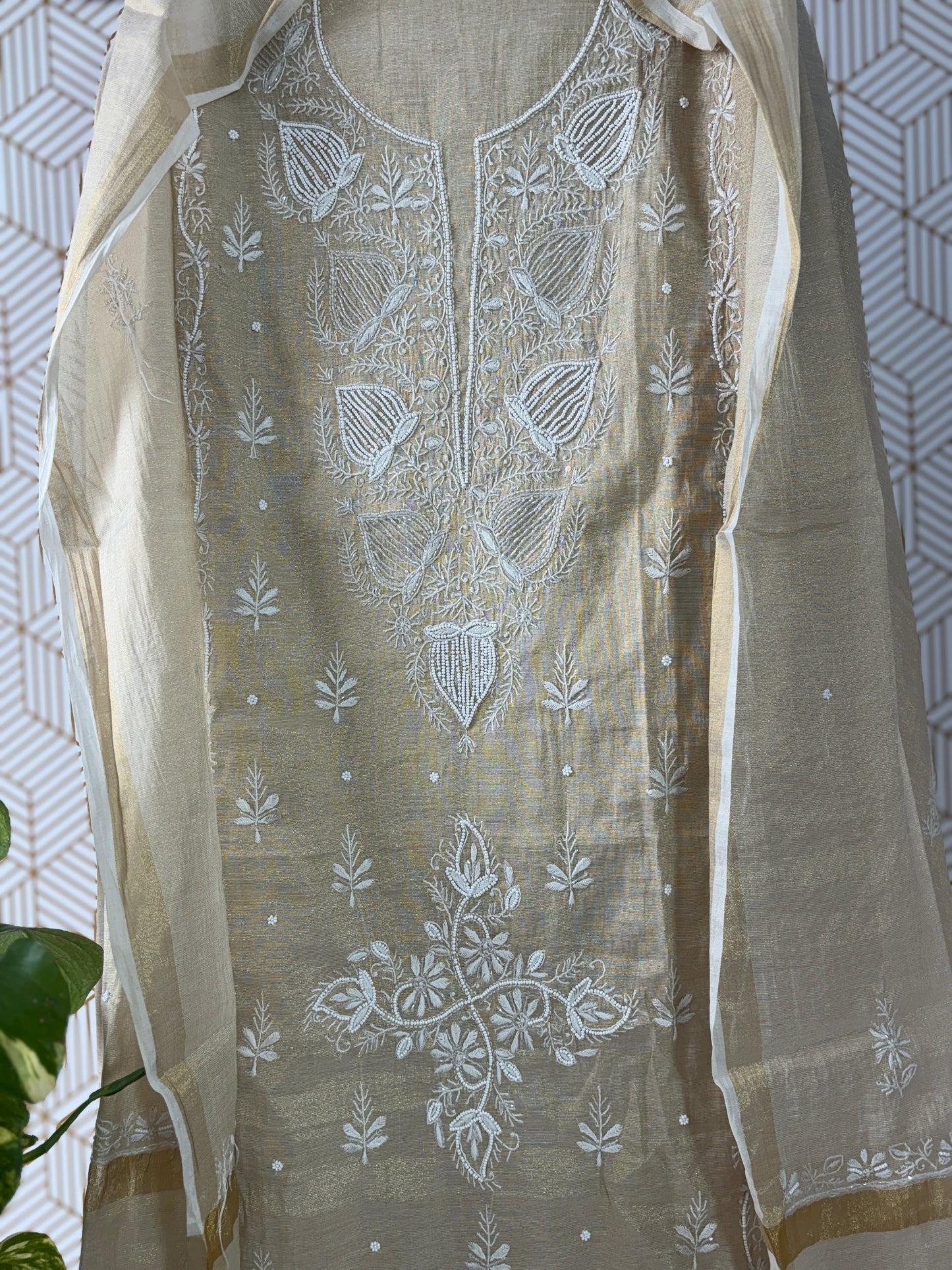 Tissue Silk Lucknowi Chikankari Suit Sets with add on of pearl work and cut dana