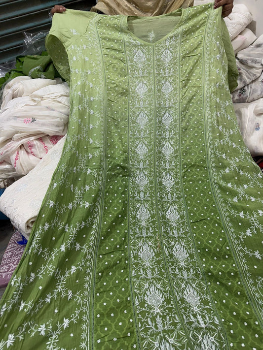 Lucknowi Chikankari Anarkali with multiple panels featuring floral vines and intricate hand embroidery